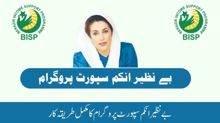 Benazir Income support Program Financial Aid for women 2024
