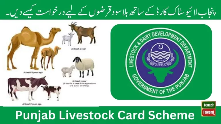 Empowering Farmers How to Apply for Interest-Free Loans with the Punjab Livestock Card 2024 (1)