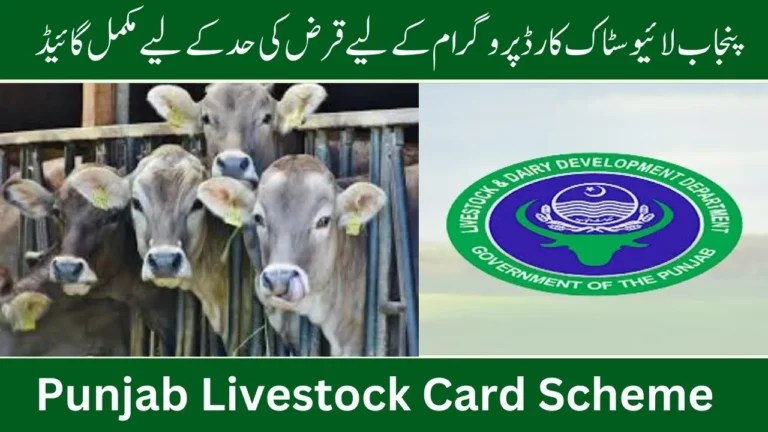 The Whole Handbook to Loan Limit for the Punjab Livestock Card Program 2024
